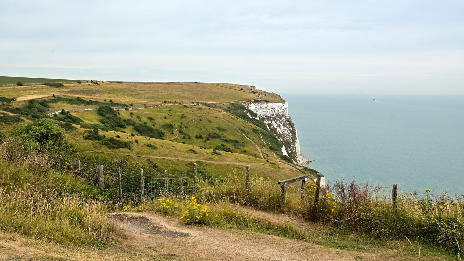 Chalk grassland above the White Cliffs of Dover, with a ferry on the Channel beyond