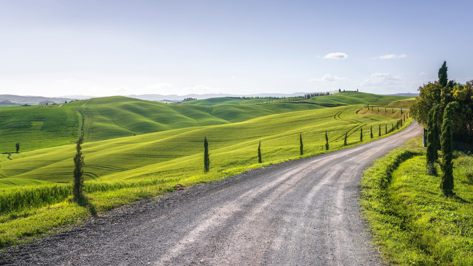 A gravel track between cypress trees crossing the rolling green hills of the Crete Senesi south of Siena