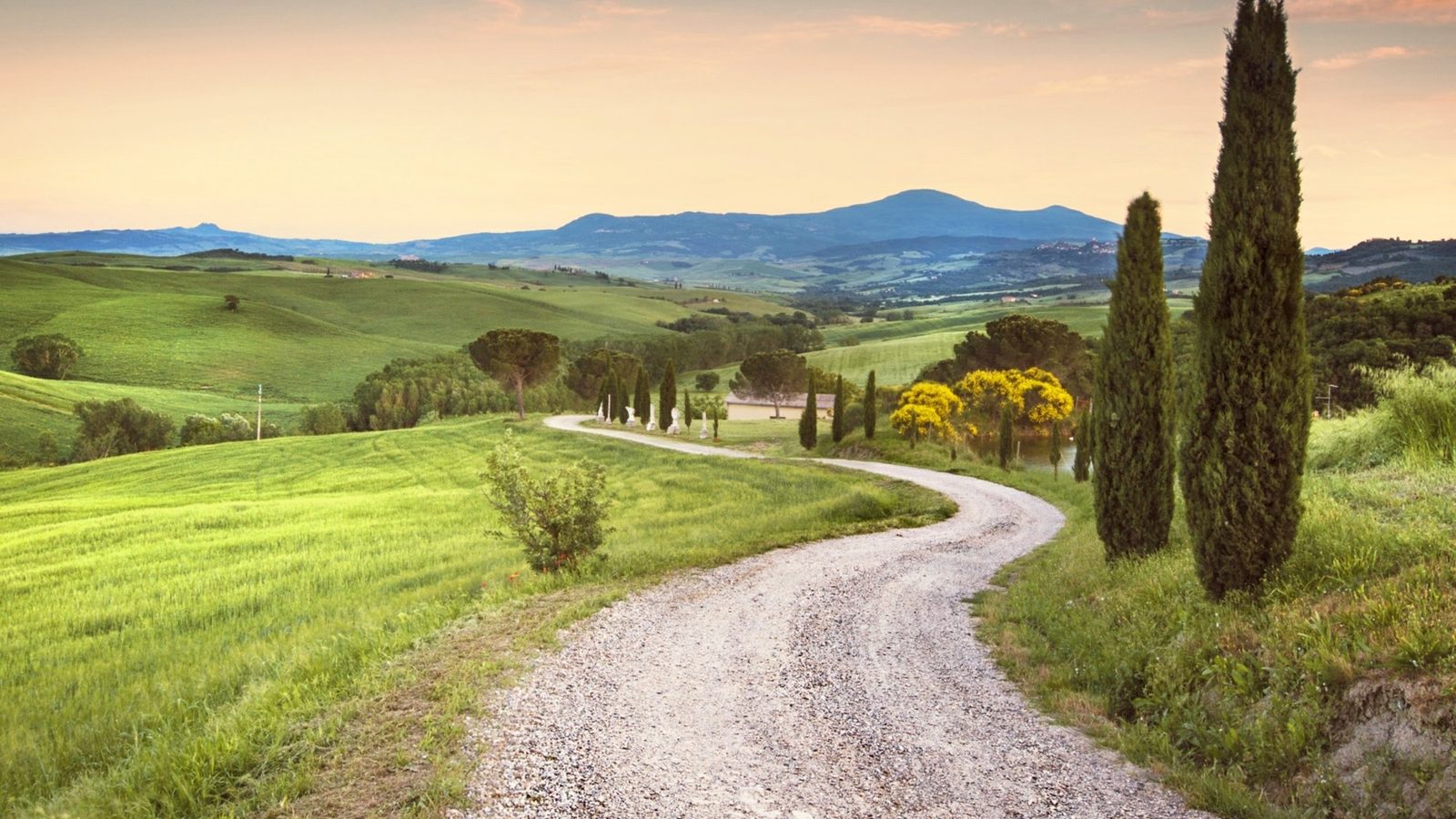 A white gravel road curving past cypresses towards distant hills at dusk in Tuscany